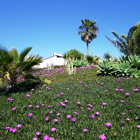 بيت ضيافة Timanfaya *